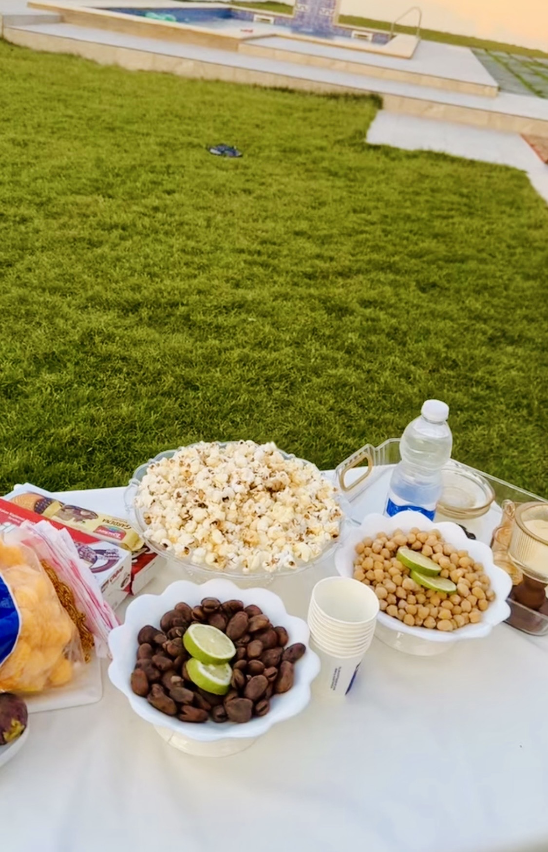 استراحة ايلياء العائلية 002